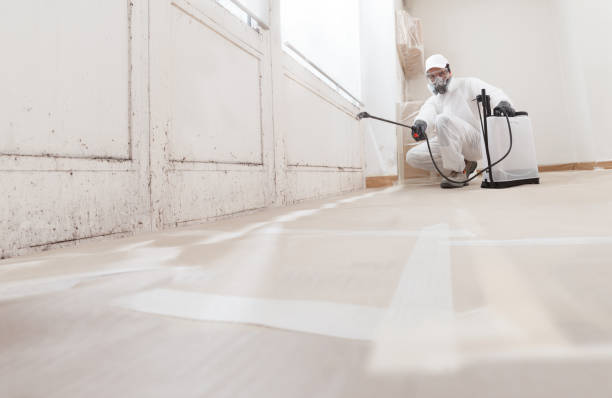 Post-remediation clearance in Morris Plains